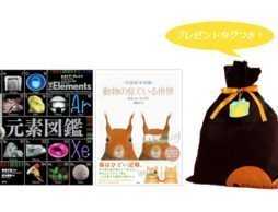 視点を変える人気図鑑セット！春のお祝いに迷ったらこれ！