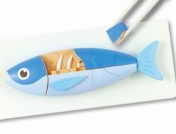 お魚、正しく食べられますか？ 遊びながら学べる「マナー魚」が気になる！？