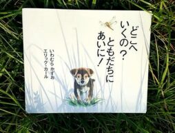 【英語絵本】左から英語で読む、右から日本語で読む絵本