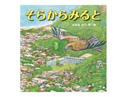 空をとぶ夢をみたい。　2017年3月3日