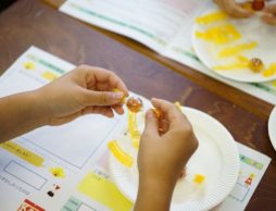 【news】カンロが初参加！24の企業・団体の出前授業が受講できる「学びのフェス2017春」