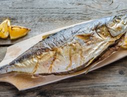 カタクチイワシが春子！名前が変わる魚たち