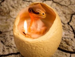 ドラゴンや恐竜がふ化する「卵キャンドル」