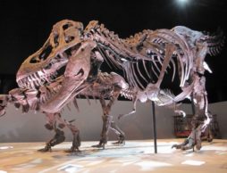 【招待券プレゼント】体感できる恐竜王国へようこそ！「ギガ恐竜展2017ー地球の絶対王者の謎ー」開催