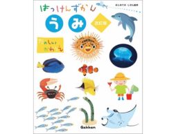 【news】めくって、のぞいて、海の世界をはっけん！できる しかけ図鑑『はっけんずかん うみ 改訂版』