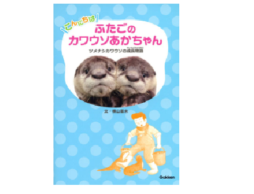 こんにちは ふたごのカワウソあかちゃん