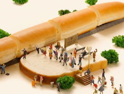 ＭＩＮＩＡＴＵＲＥ ＬＩＦＥ展