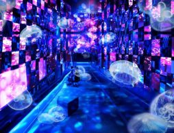 【news】すみだ水族館で宮沢賢治の世界を体感！アーティスト清川あさみプロデュース『Fairy tale in Aquarium～水と幻想の世界～』