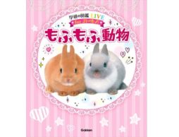 もふもふ動物　新しい図鑑
