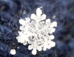 超簡単！雪の結晶の写真がスマホで撮影できる！？ ＃関東雪結晶プロジェクト に親子で参加しよう！