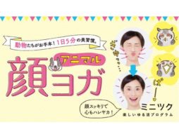 アニマル顔ヨガプログラム