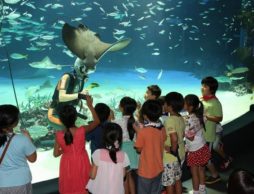 【news】参加者募集!!「夜の探検隊～サンシャイン水族館に泊まろう！～」