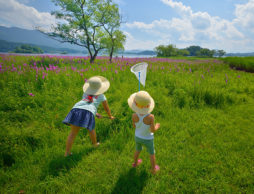 元気な子ども応援！保育のプロに教わる夏の外遊びのヒント～第12回～