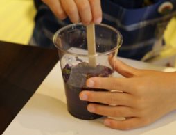 気分は小さな魔法使い♪色が変わる不思議なハーブティーの実験をしてみよう！