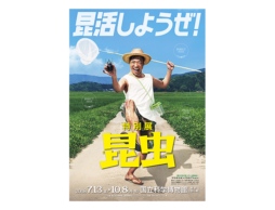 親子で行こう！特別展「昆虫」＠国立科学博物館 7/13-10/8/2018