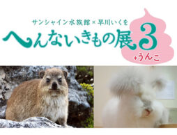 サンシャイン水族館「へんないきもの展３＋うんこ」この夏はうんこがへんな生き物を見よう！