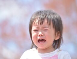 保育園・幼稚園に行きたくない！そんなときに読みたい絵本