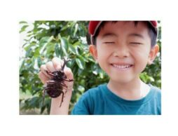 子どもに「夏休み勉強させたい習い事」は英語とプログラミングが上位！