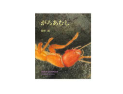 暗黒世界で生きる虫の一生とは。緻密な絵で描く渾身の絵本『がろあむし』