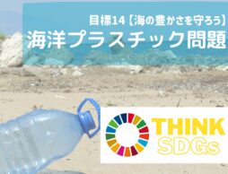 子どもと考えるSDGs|海洋プラスチック問題から海を守ろう