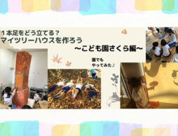 【絵本アクティビティ】『ツリーハウスがほしいなら』を読んでマイツリーハウスを作ろう～こども園さくら編～