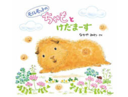 なかや みわさんの新作絵本『モルモットの ちゃもと けだまーず』発売