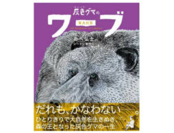 あべ弘士のシートン動物記シリーズ　最新作『灰色グマのワーブ』発売