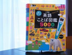 【3歳10か月娘へ読み聞かせ】絵本も図鑑も「うんち！おしっこ！」がきっかけに