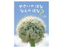新シリーズ〈かがくすっ〉がスタート！第一弾『やさいのはな なんのはな？』発売