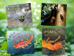 【今週の今日の一冊】今、科学絵本が面白い！ 子どもたちの “なぜ？” の扉を開こう