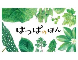 『はっぱのほん』知ってる葉っぱ、いくつあるかな？美しいイラストで紹介する科学絵本