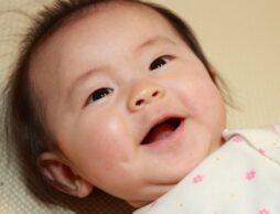 「赤ちゃんにおすすめ！ボードブック」人気ランキング1位~10位