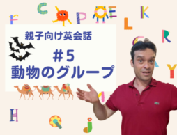 コウモリ、ラクダの集団は？英語で表現する動物のグループ　親子向け英会話#5
