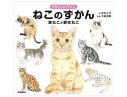 『ねこのずかん 家ねこと野生ねこ』 もふもふだらけの絵本のような図鑑発売！