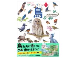 『はっけんずかんプラス 鳥』しかけをめくって鳥を発見できる図鑑発売！