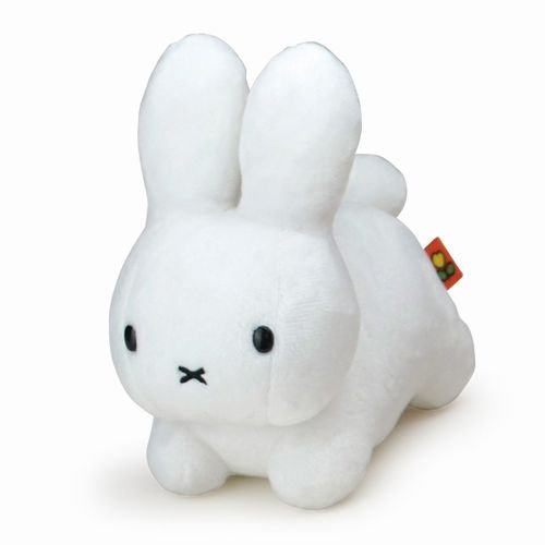 http://www.ehonnavi.net/shopping/item.asp?c=4905610660988&LID=TEM