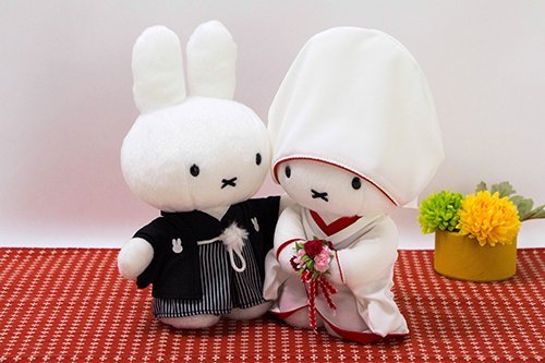 http://www.ehonnavi.net/shopping/item.asp?c=4905610668205