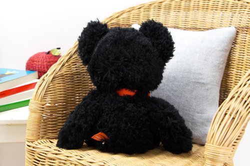 http://www.ehonnavi.net/shopping/item.asp?c=4905610600175&LID=TEM