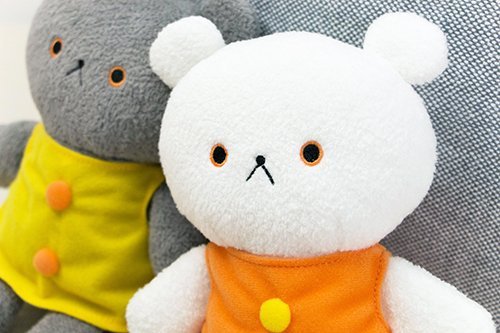 http://www.ehonnavi.net/shopping/item.asp?c=4974475717939