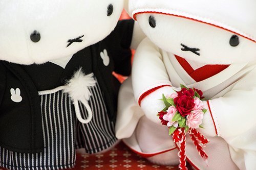 http://www.ehonnavi.net/shopping/item.asp?c=4905610668205